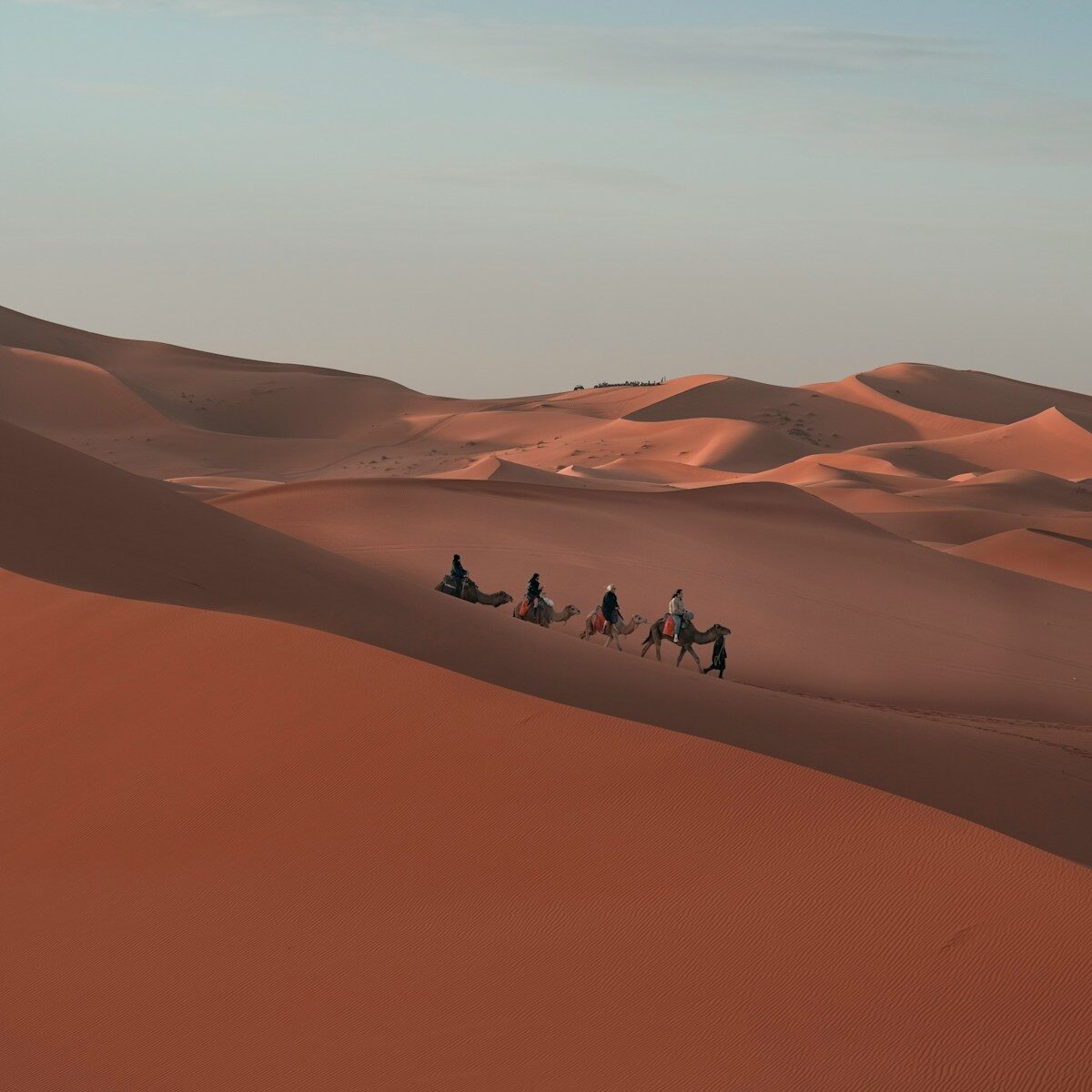 People ride camels in the vast desert.